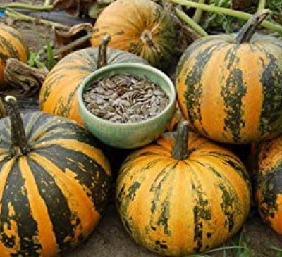 Pumpkin Hulless Dana 